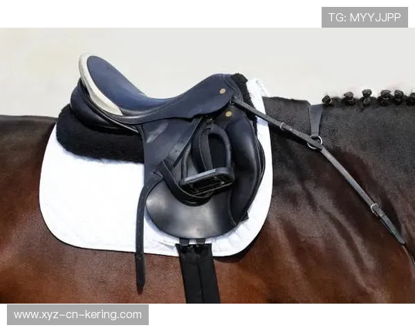 西班牙马术界推出智能马鞍系统，实现实时数据监测与分析，提升骑乘体验。